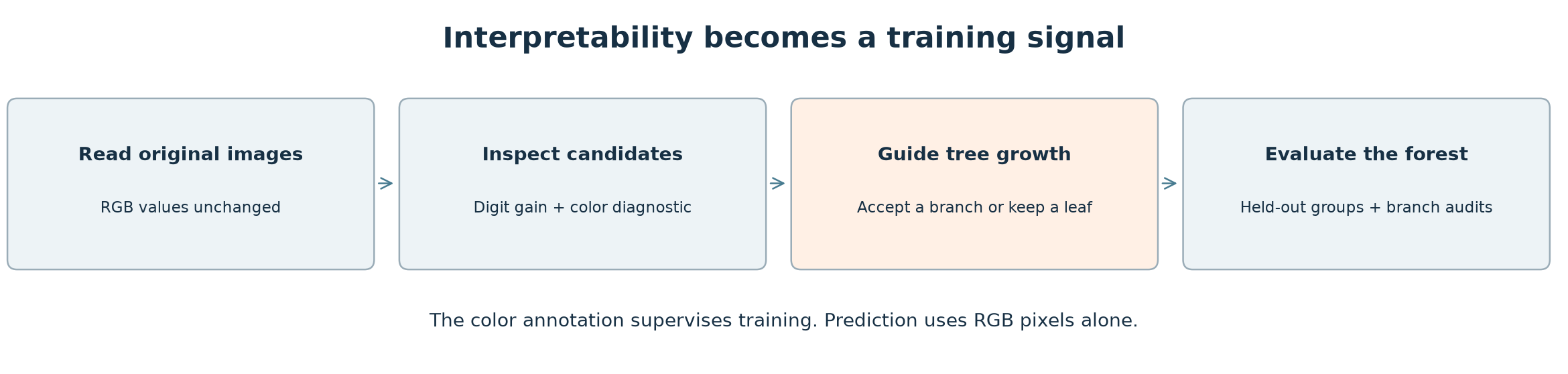 Training feedback loop: read unchanged images, inspect candidate branches, guide tree growth, and evaluate the resulting forest.